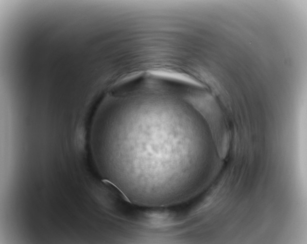 X0000088650693200706011221