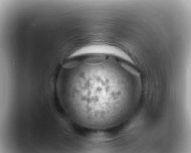 X0000088650695200706011221