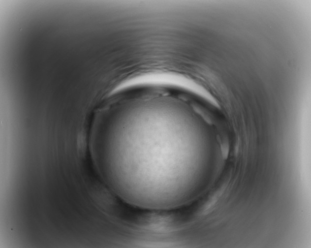 X0000088650697200706011221