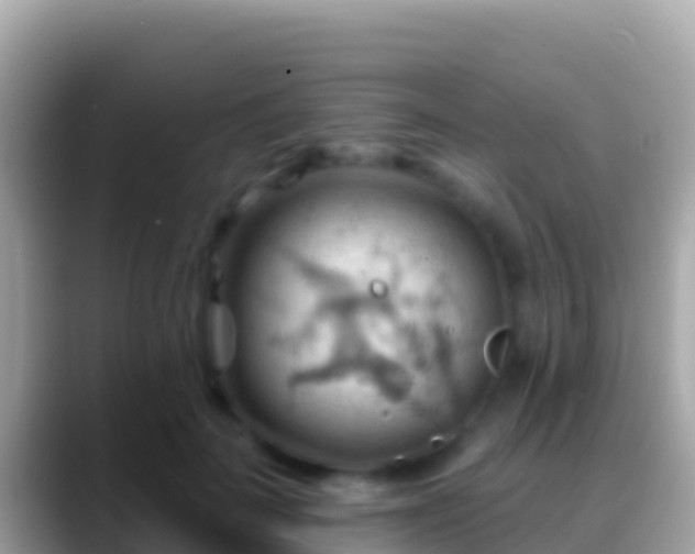 X0000088650699200706011221