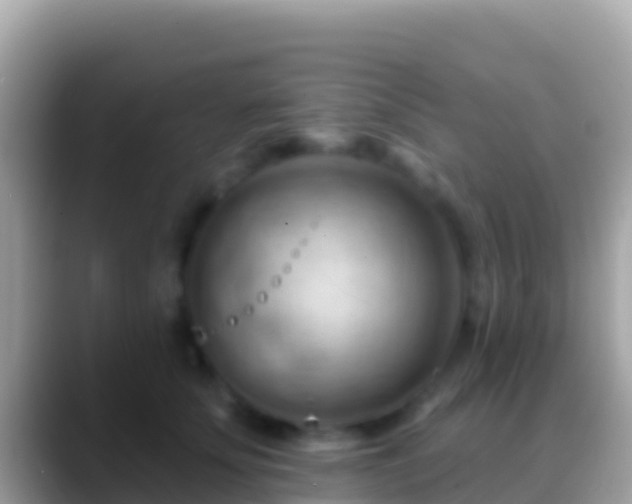 X0000088650707200706011221