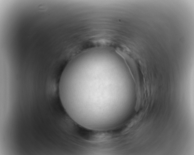 X0000088650709200706011221