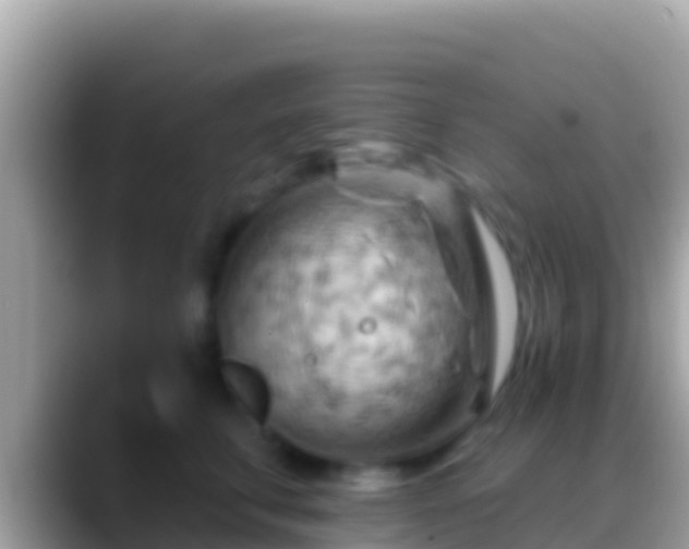 X0000088650711200706011221