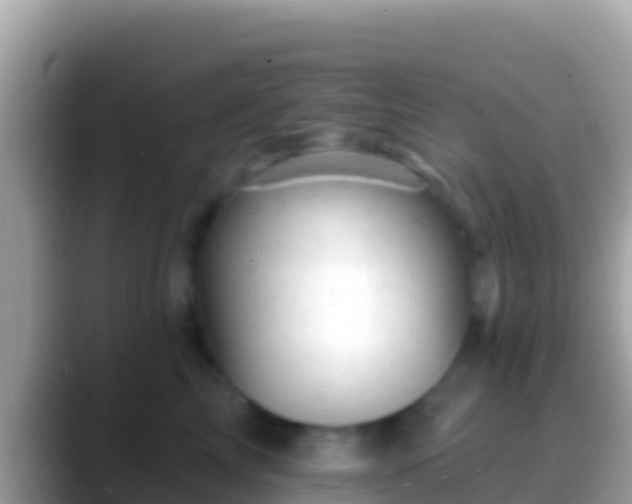 X0000088650713200706011221