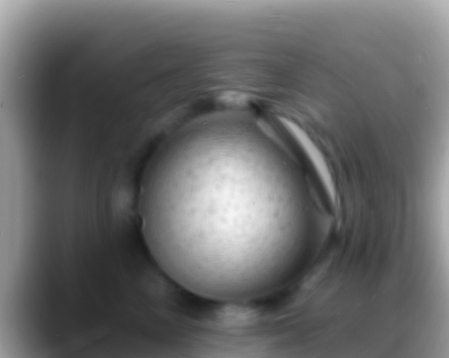 X0000088650714200706011221