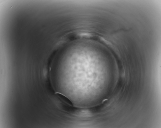 X0000088650715200706011221