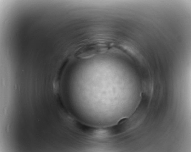 X0000088650718200706011221