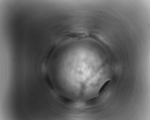 X0000088650719200706011221