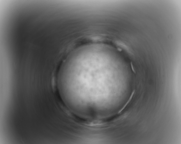 X0000088650720200706011221