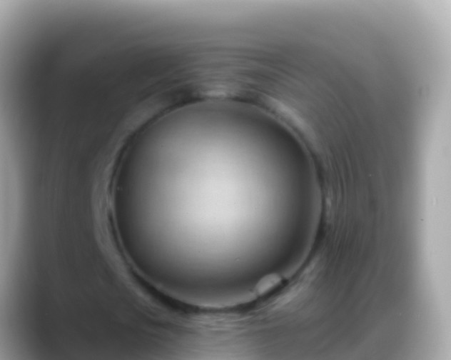 X0000088650721200706011220