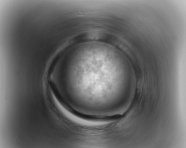 X0000088650722200706011220