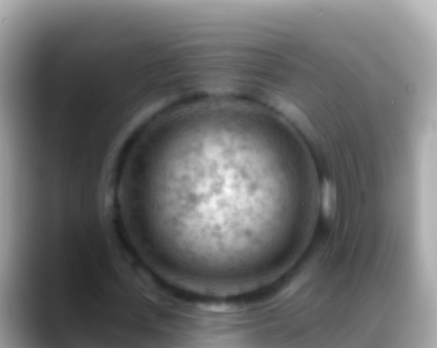 X0000088650723200706011220