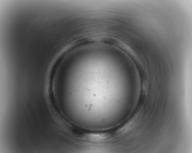 X0000088650724200706011220