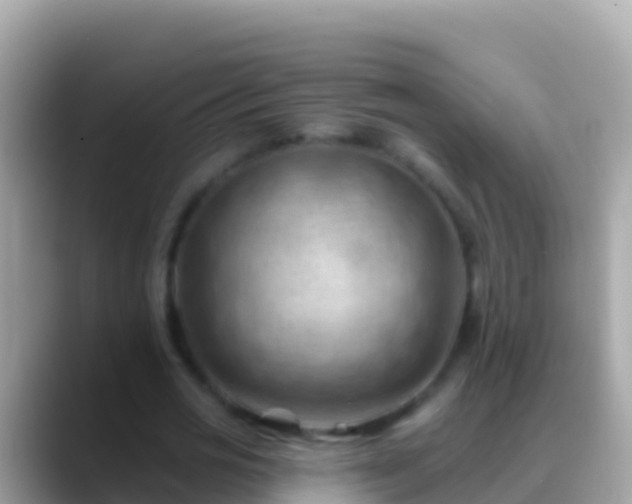 X0000088650725200706011220