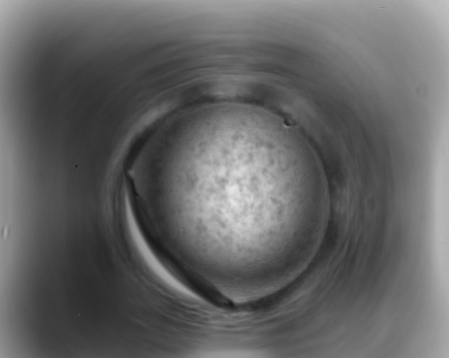 X0000088650727200706011220