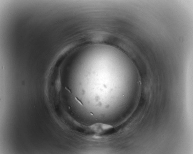 X0000088650728200706011220