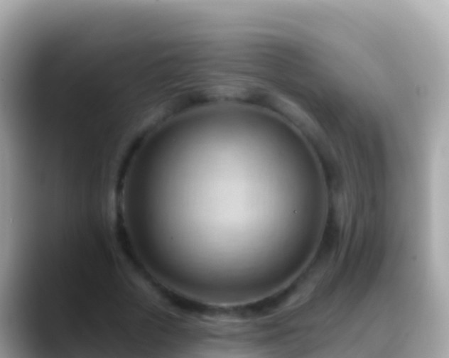 X0000088650729200706011220