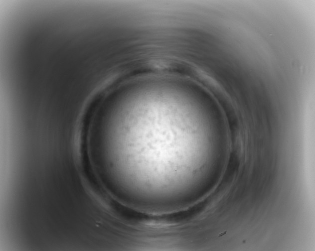 X0000088650730200706011220