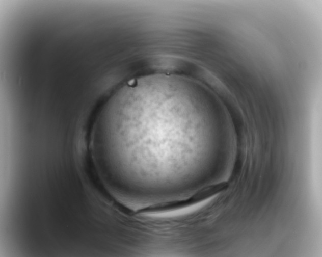 X0000088650731200706011220