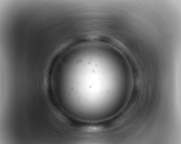 X0000088650732200706011220