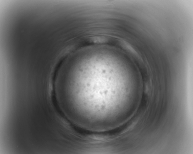 X0000088650733200706011220