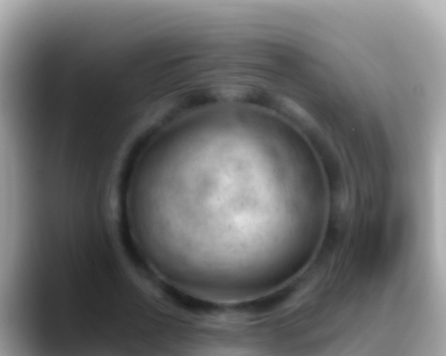 X0000088650734200706011220