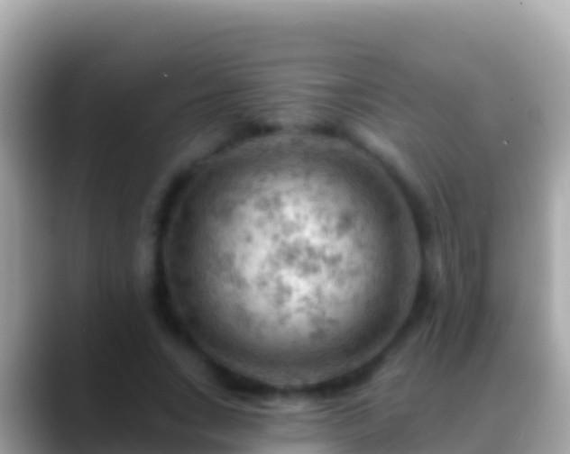 X0000088650735200706011220