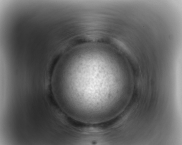 X0000088650737200706011220