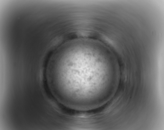 X0000088650738200706011220