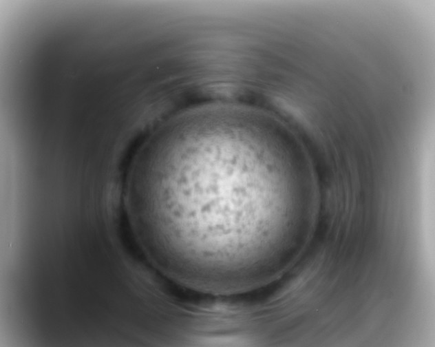 X0000088650739200706011220