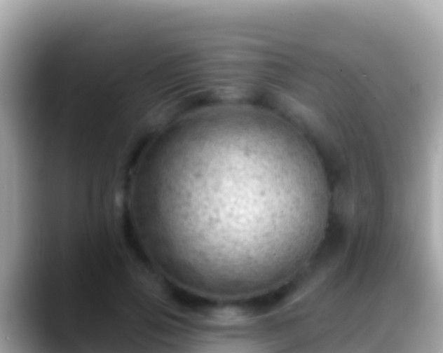 X0000088650741200706011221