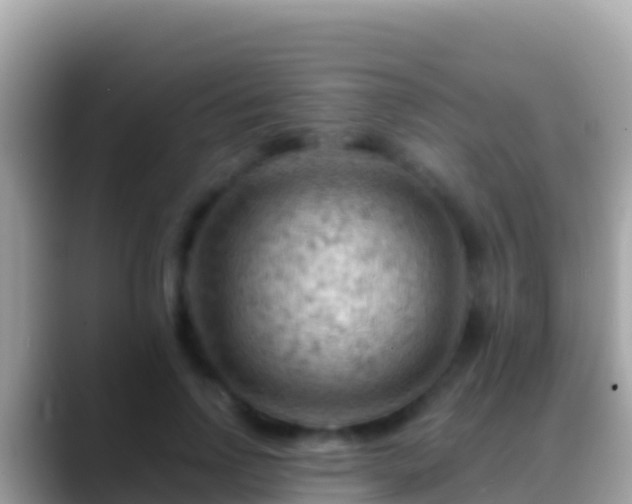 X0000088650742200706011221