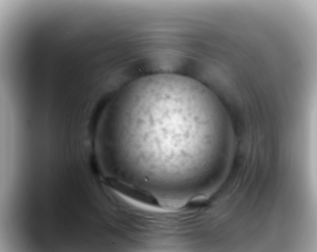 X0000088650743200706011221