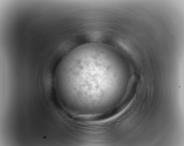 X0000088650744200706011221