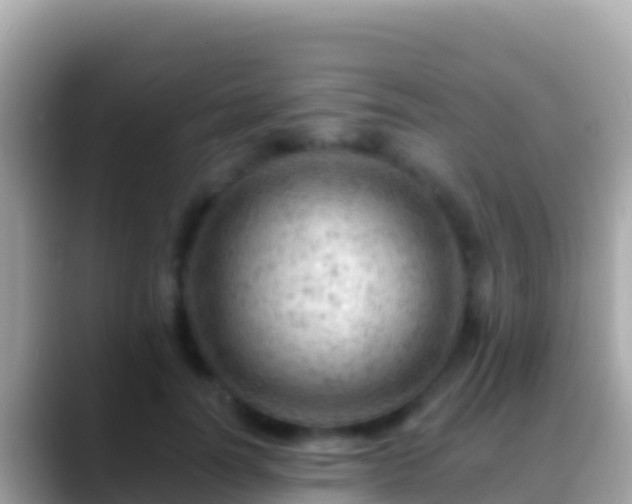 X0000088650746200706011221