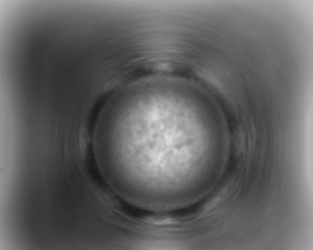 X0000088650747200706011221