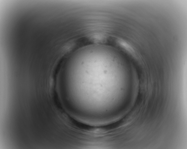 X0000088650748200706011221