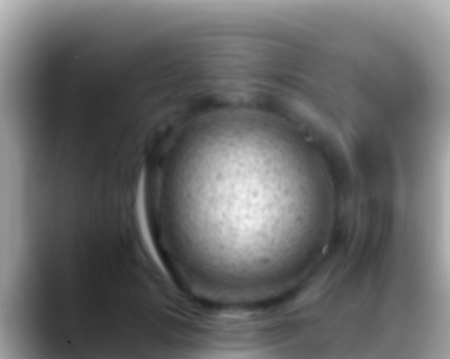 X0000088650749200706011221