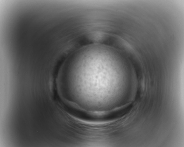 X0000088650750200706011221