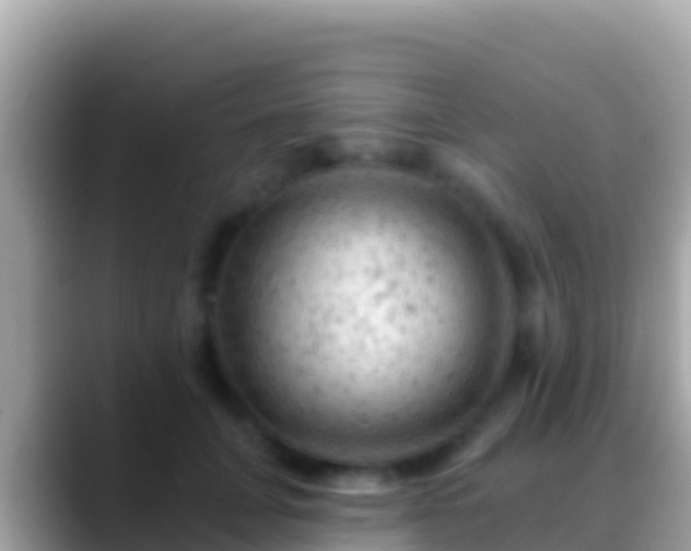 X0000088650751200706011221