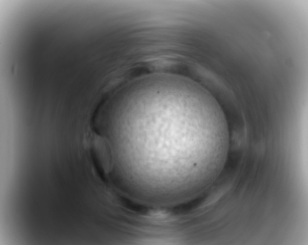 X0000088650753200706011221