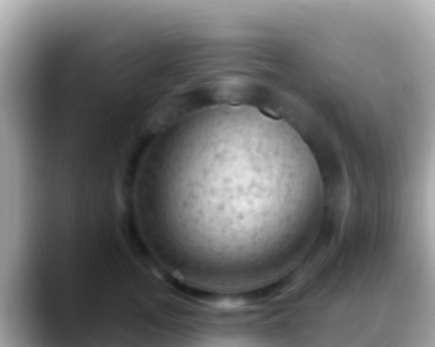 X0000088650755200706011221