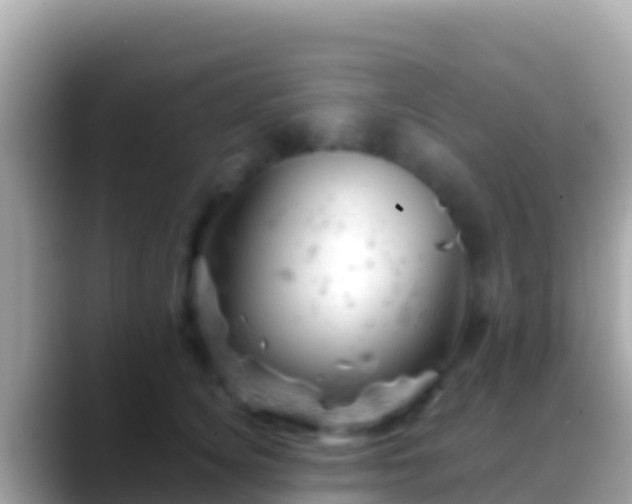 X0000088650756200706011221