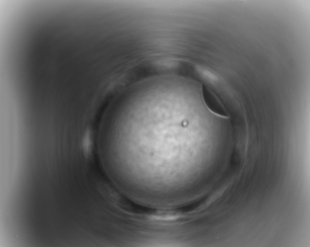 X0000088650758200706011221