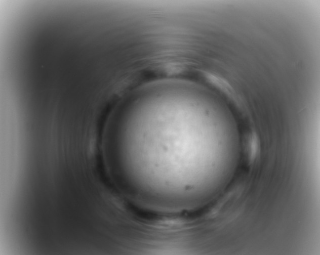 X0000088650760200706011221