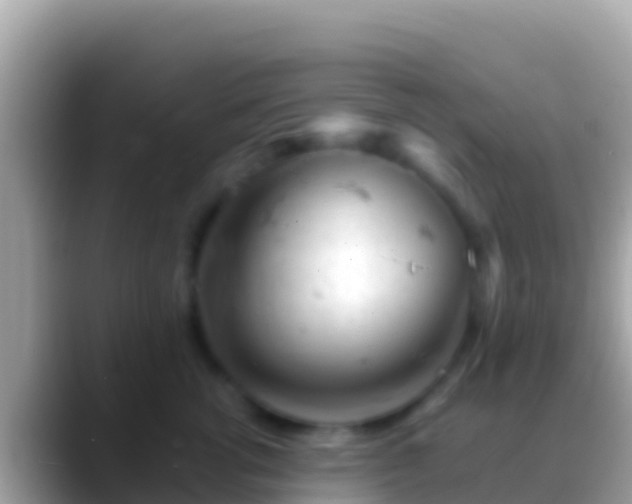 X0000088650762200706011221