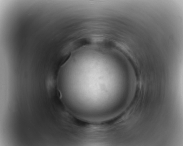 X0000088650763200706011221