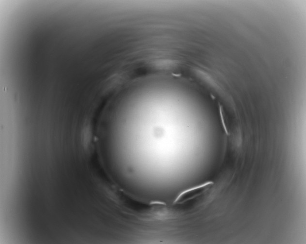 X0000088650764200706011221