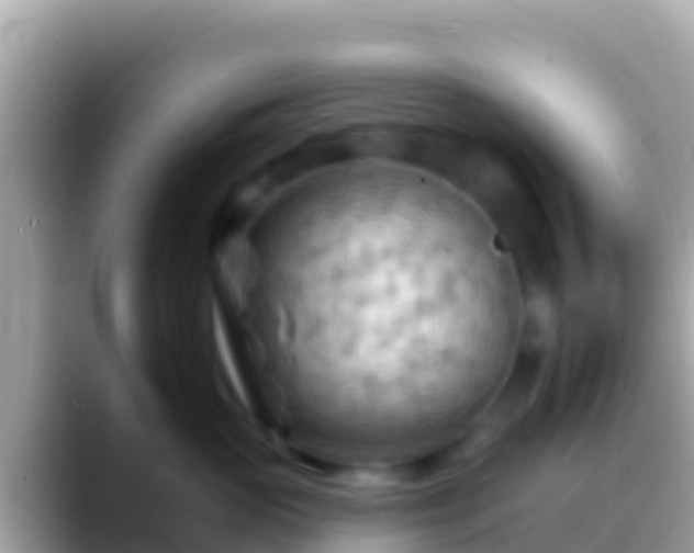 X0000088650765200706011221