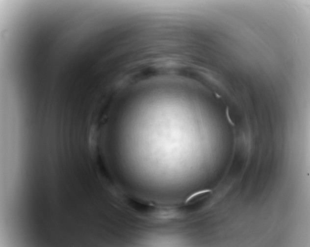 X0000088650767200706011221